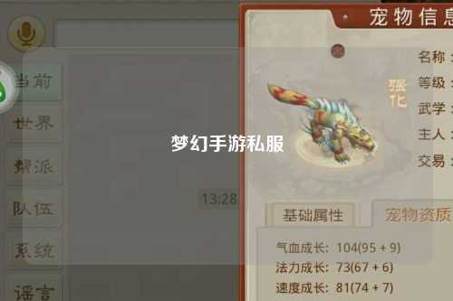 梦幻手游私服